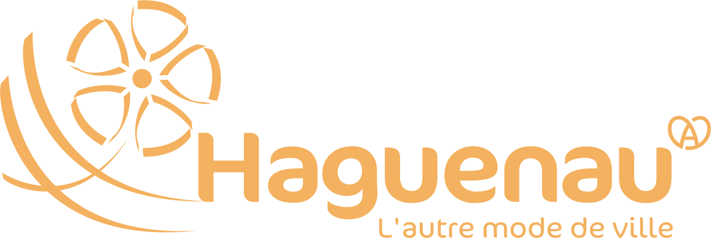 Ville de Haguenau retour à la page d'accueil